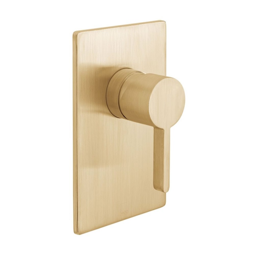 Cutout image of Vado Individual Edit Brushed Gold Manual Shower Valve